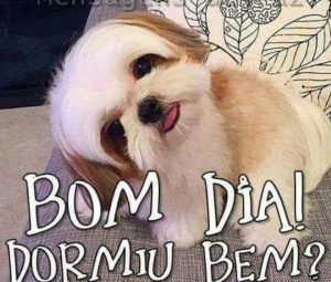 Bom dia, dormiu bem?