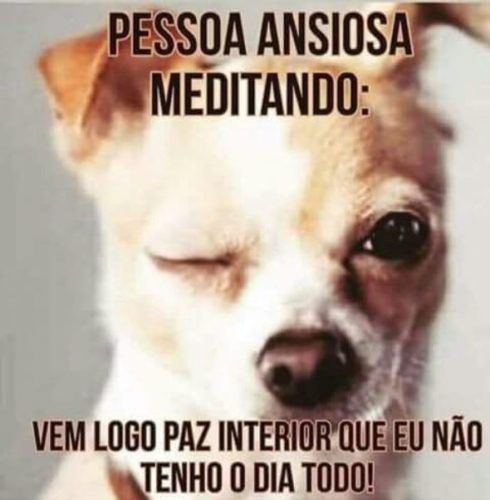 Meditação 1