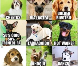 Qual a raça do seu cão?
