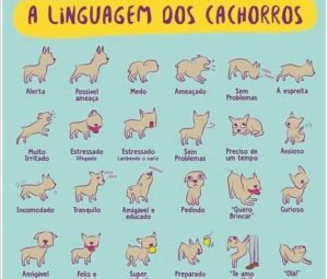 A Linguagem dos cachorros